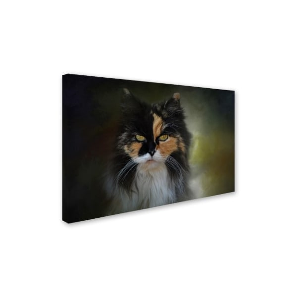 Jai Johnson 'Calico Stare' Canvas Art,30x47